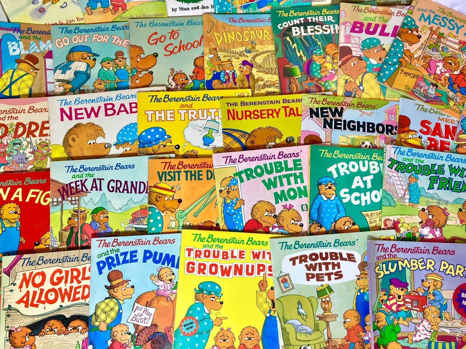 The Berenstain Bears - I can read-set 34 books | Maisy Bookshop